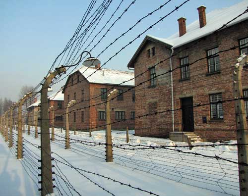 Auschwitz Winter